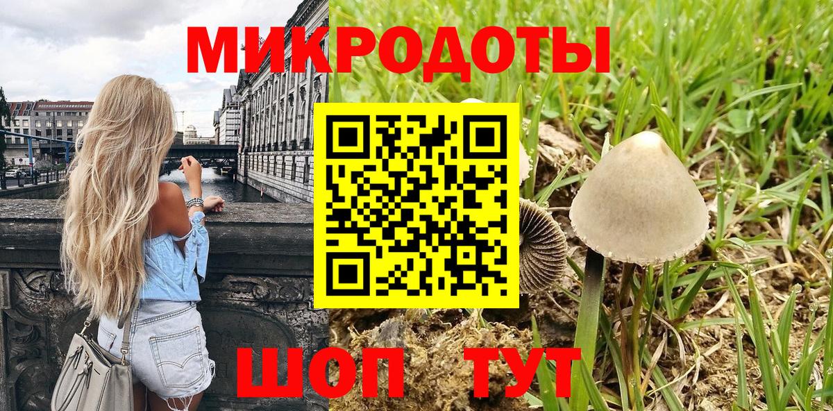 Галлюциногенные грибы Magic Shrooms  Вход с VPN  Бийск  Галлюциногенные грибы MAGIC MUSHROOMS 