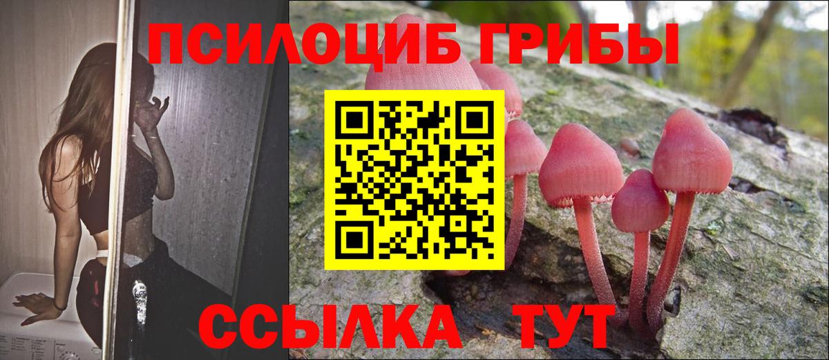 Галлюциногенные грибы прущие грибы Бийск